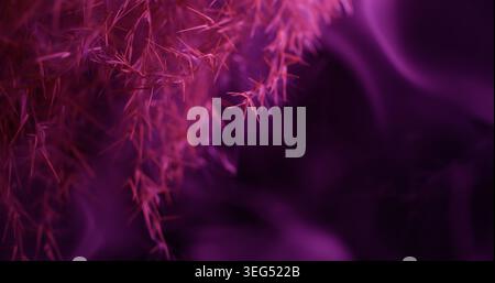 Pink plant. Neon smoke haze. Defocused purple color smog steam botany texture nature vapor on abstract dark black creative art background. Stock Photo