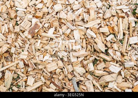 Close-up full-frame pile of wood chips for mulch, landscaping, or biomass fuel, textured view Stock Photo