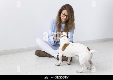 Pets owner - Attractive cheerful female in blue sweater playing with her favourite pet. Happy woman with her jack russell terrier Stock Photo