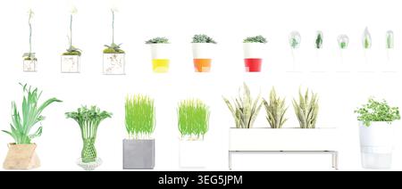 Set of indoor house plants in pots Stock Vector