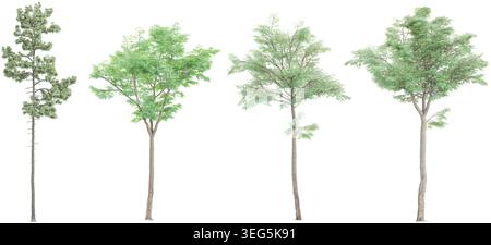 Set of green trees isolated on white background Stock Vector