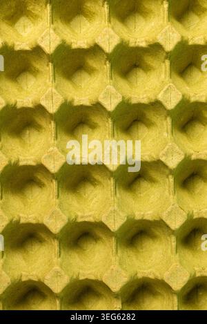 Empty Recycled Molded Pulp Egg Carton Texture Pattern Background Stock Photo