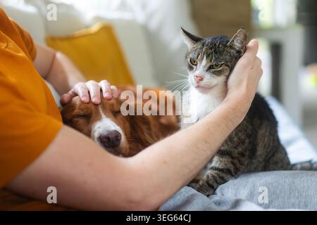 Man sitting on sofa at home stroking senior cat and sleeping dog. Human animal bond, pet care, companionship and cozy lifestyle concept. Stock Photo