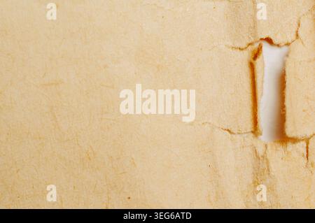 A detailed macro view of rough, textured, aged paper with a tear revealing a white background, showcasing natural fibers and imperfections Stock Photo