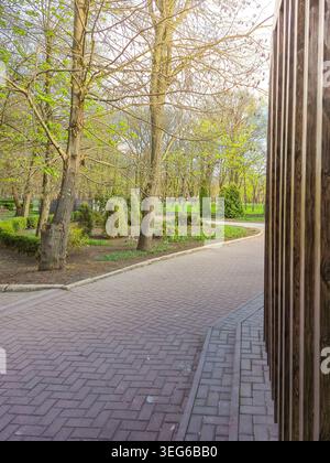 A paved walkway curves through a park in early spring, with fresh green leaves appearing on trees and colorful tulips blooming along the path Stock Photo