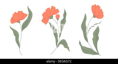 Flowers with leaves and red petals. Vector illustration. A set of spring and summer garden flowers, tulips or carnations, isolated on a white Stock Vector