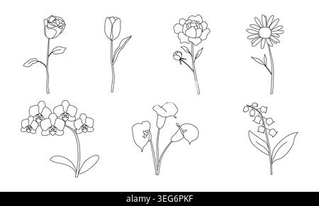 Minimalist line art flowers including rose, tulip, peony, daisy, orchid, calla lily, and lily of the valley, arranged in two rows, elegant botanical Stock Vector