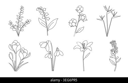 Minimalist line art flowers arranged in two rows, eight different botanical forms with stems, leaves, and blossoms, elegant illustration Stock Vector