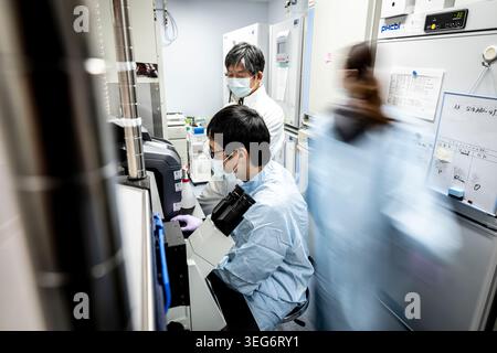 Dr Jun Takahashi and researchers at work in CiRA stem cell laboratory Stock Photo
