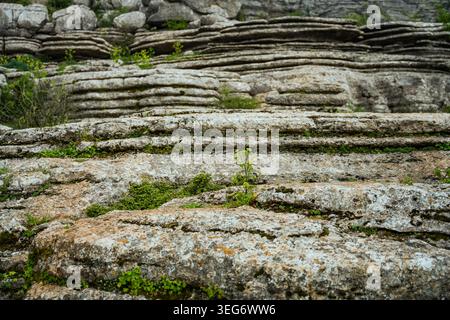 Detailed layered limestone rock texture in natural environment Stock Photo