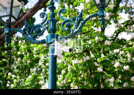 A security camera is mounted on a decorative lamp post in a park. The area is filled with green trees and white flowers under a sunny sky. Stock Photo