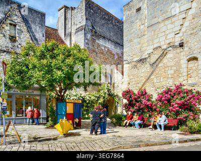 Climbing red roses in full bloom at the Carroir du Centre - Beaulieu-les-Loches, Indre-et-Loire (37), France. Stock Photo