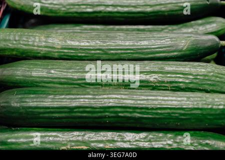 Fresh green cucumbers arranged in rows at supermarket produce section. Healthy vegetables and grocery shopping concept. Close-up of organic cucumbers Stock Photo