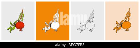 Hand drawn abstract vector graphic illustration collection with stylized pomegranate branch fruit in cartoon drawing style.Trendy modern juicy fruit Stock Vector