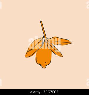 Hand drawn abstract vector graphic illustration collection with stylized lemon branch fruit in cartoon drawing style.Trendy modern juicy fruit design Stock Vector