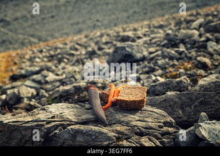 Trafoi, Italy - 25.09.2024: A close-up shot of a rustic snack resting on a textured grey rock in the Trafoi mountains. Stock Photo