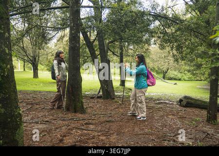 Two women enjoying nature, hiking together in a forest, and taking pictures Stock Photo