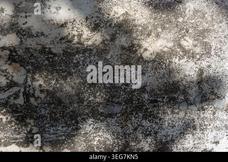 Close up view of a weathered concrete surface featuring natural tree leaf shadows mottled textures and fine cracks across an aged grey wall Stock Photo