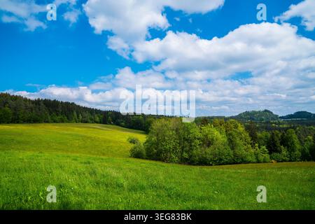 Germany, panoramic spring landscape with pasture and forest edge in Black Forest Stock Photo