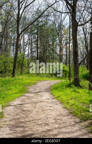 A scenic dirt hiking trail curving through a lush green forest at Lapham Peak in Waukesha County, Wisconsin, during early May. Stock Photo