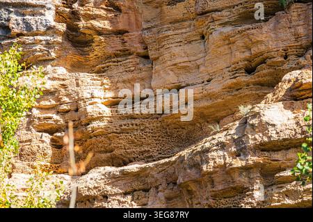 Close-up view of rugged eroded sandstone cliffs at Monumento Natural de los Tajos de Alhama de Granada in Andalusia, Spain. The sunlit rock wall shows Stock Photo