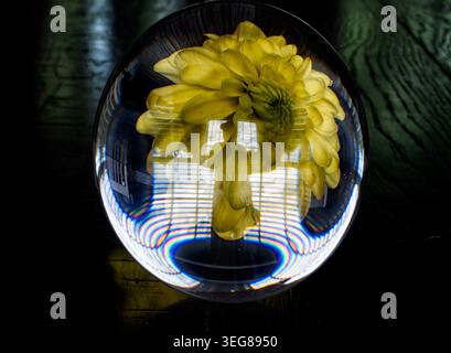 A solid glass ball on a dark surface captures reflected light. Stock Photo
