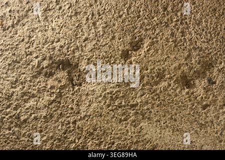 damaged rough concrete surface, full frame close-up, industrial construction background texture Stock Photo