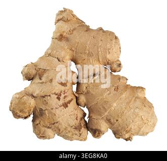 Big ginger root on white background Stock Photo