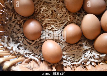 Fresh organic eggs in a rustic basket, captured in natural light with farmhouse style aesthetics. High-quality food photography perfect for themes of Stock Photo
