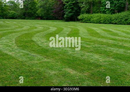 lawn in the park with the pattern of freshly mown grass Stock Photo