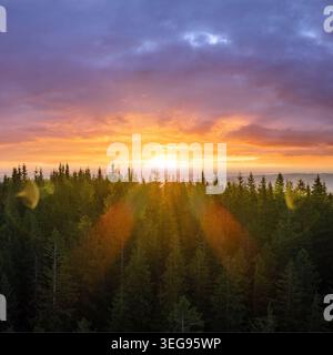 Amazing sunset scenery in wild mountain forest. Dark pine woods illuminated with bright setting sun. Beautiful nature landscape Stock Photo