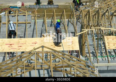 Professional builders working on roof construction of unfinished suburban home with wooden frame structure in Florida rural area. Concept of housing Stock Photo