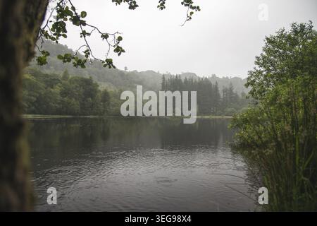 A serene lake reflects the overcast sky and dense woodland, with raindrops creating ripples on the water's surface Stock Photo