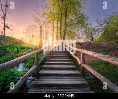Wooden stairs in forest at sunset in spring. Plitvice Lakes Stock Photo