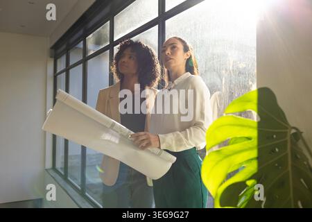 Diverse female colleagues in smart clothes inspecting office by windows and Monstera, holding plans Stock Photo