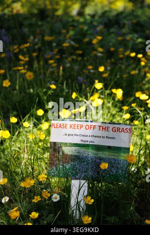 Keep off the grass sign in buttercup field Stock Photo