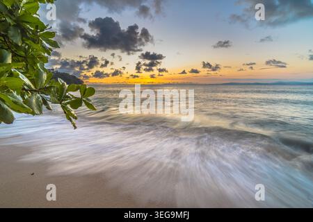 Golden sunset over a tropical beach in Puntarenas, Costa Rica. Waves wash over white sand as the sun sets on the Pacific horizon. Lush tropical vegeta Stock Photo