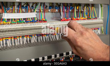 Electrical engineer using a screwdriver to check connections on connectors on a building management system. Electrical contractor inspecting a control Stock Photo