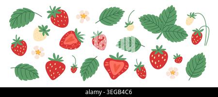 Cartoon strawberry. Red sweet berries with seeds, leaves and flowers, botanical elements, blossom plants, spring harvest, hand drawn fruit and foliage Stock Vector