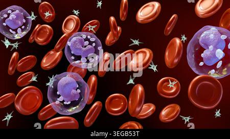 A 3D medical illustration of depicts various blood components including ...