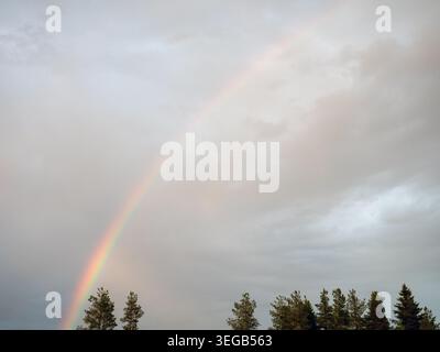 rainbow over tree tops in a cloudy sky Stock Photo