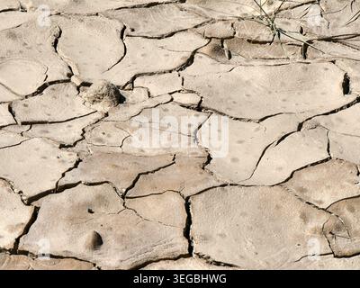 close up of cracks in the soil in dry land, drought concept Stock Photo