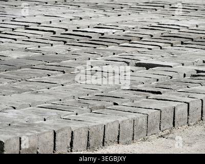 rows of sun drying mud bricks in ladakh, traditional building material, in India. Stock Photo