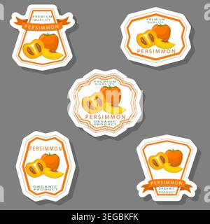 Illustration on fruit theme from set juicy delicious persimmon of various sizes, fruit persimmon consisting of juicy organic food, collection persimmo Stock Vector