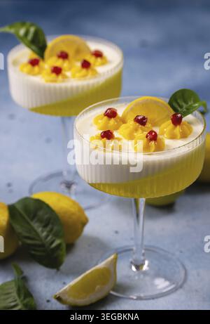Two glasses of panna cotta with lemons and cream layers, garnished with lemon slices, green leaves, small yellow cream decorations and red pomegranate Stock Photo