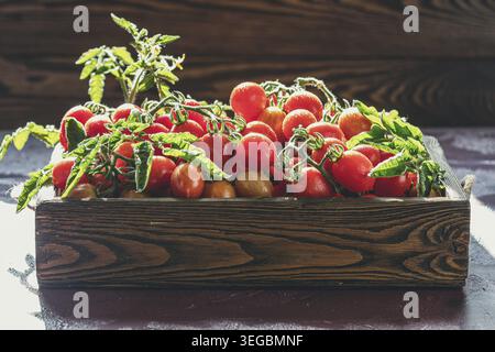 Ripe cherry tomatoes, which are still on the vine, swell over a rustic wooden box and testify to the abundance of a summer harvest Stock Photo