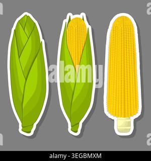 Illustration on fruit theme from set juicy delicious corn of various sizes, fruit corn consisting of juicy organic food, collection corn in juicy frui Stock Vector