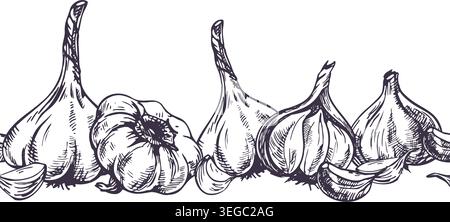 Garlic vegetable hand drawn illustration with pen and ink. Graphic line art sketch for food store, agriculture harvest, kitchen recipe label and Stock Vector