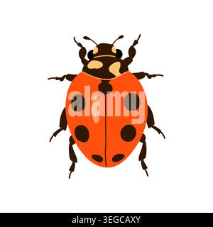 Cute red ladybug with black spots top view vector illustration isolated on white background Stock Vector