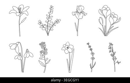 Minimalist line art flowers including lily, eucalyptus, iris, crocus, snowdrops, forget-me-nots, daffodil, lavender, and lily of the valley, arranged Stock Vector